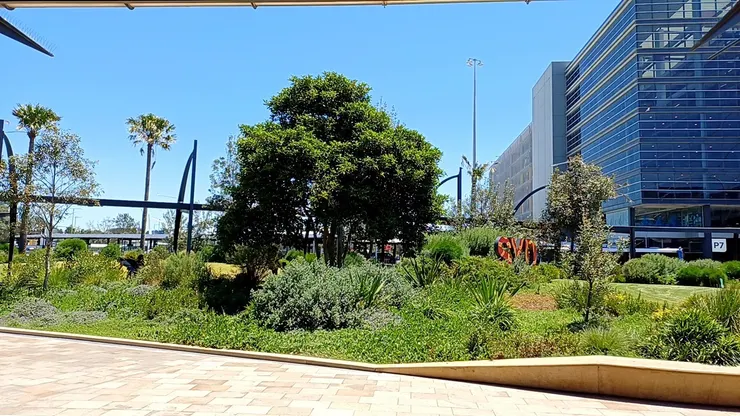 雪梨機場外，艷陽高照