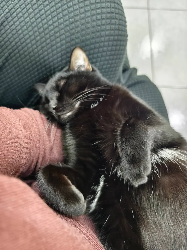 賓客回家後睡翻的錢錢 XD 