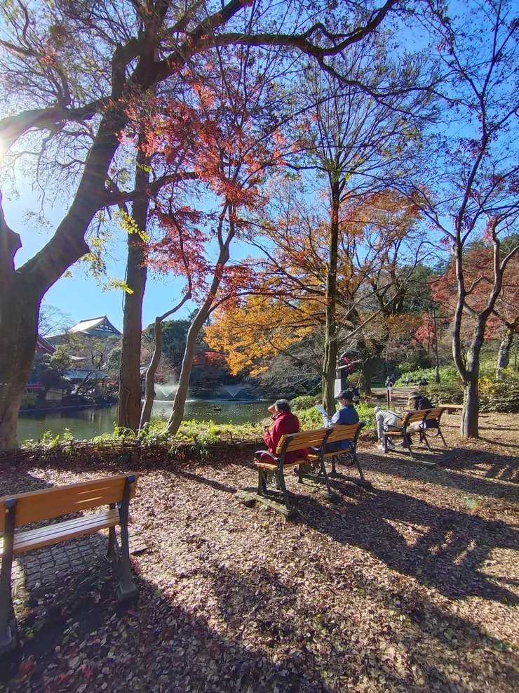 很適合坐在此地休息