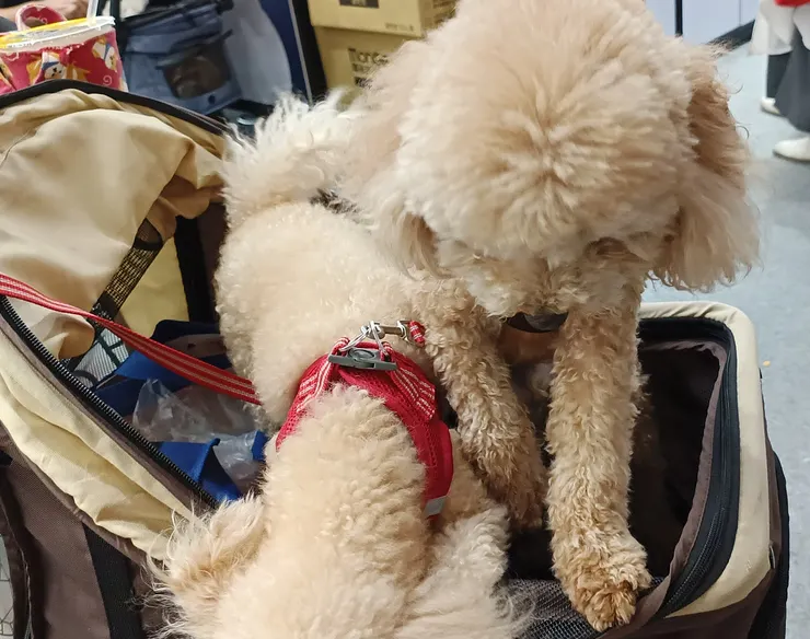 設計不良，就像這樣...