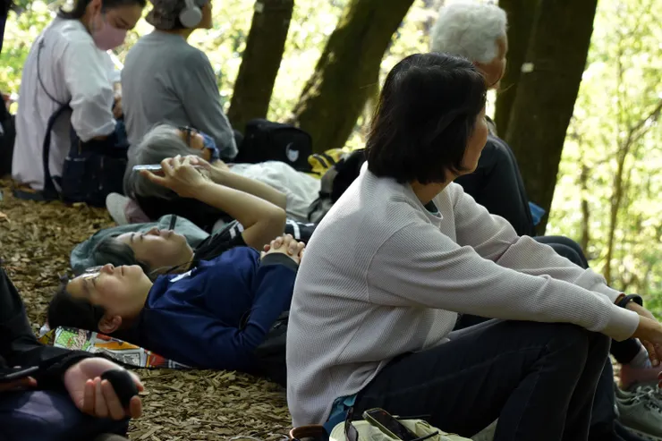 【聽聽聲音的流動】身處在大自然中，體驗頌缽聲音，開啟【音聲法門】。