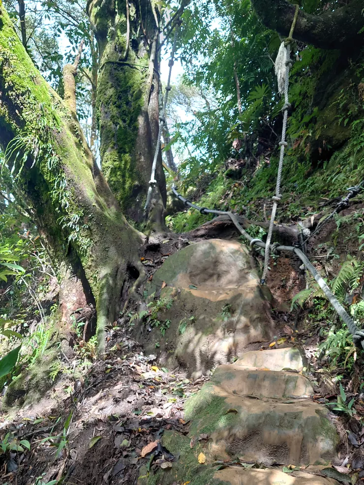 看起來可以學泰山盪鞦韆的繩索 (找死