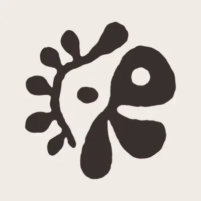 Cortis讓我心動的理由