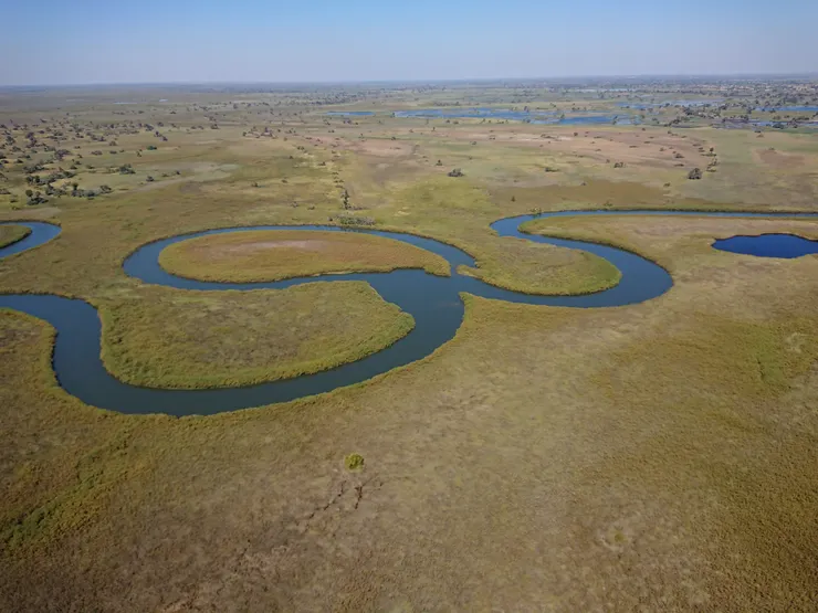 世界自然遺產 歐卡萬哥三角洲