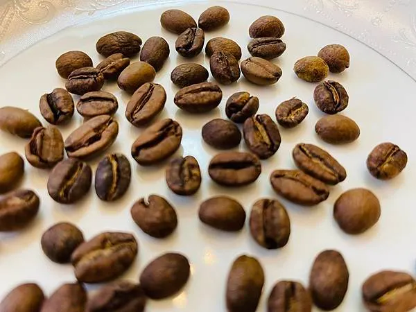 【手沖咖啡】TiARA cafe 自選自烘的咖啡豆開箱 衣索