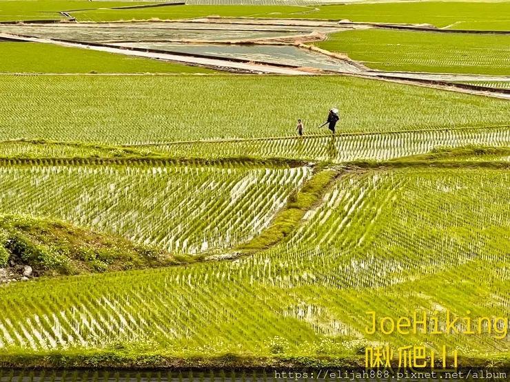 LINE_ALBUM_南橫滿天星 by Joe_230324.jpg