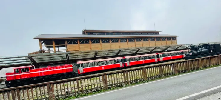 圖片拍攝於阿里山