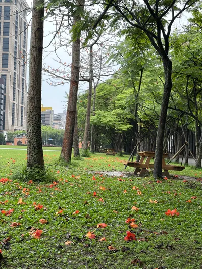 春雨綿綿 木綿滿地