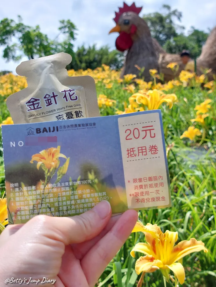 ▲2025花現台七「桃園繡球金針農遊趣」/ 圖片來源：Betty's Jump Diary