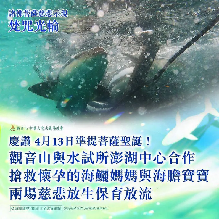 念誦放生儀軌的紀實報導