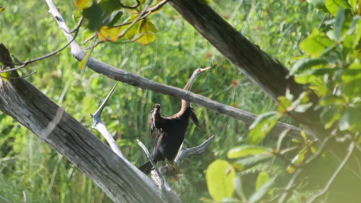 可以維持好一段時間的姿勢