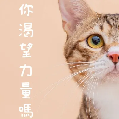 淡藍羽翼的投資書庫