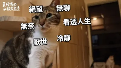 給社畜新鮮人的8個忠告