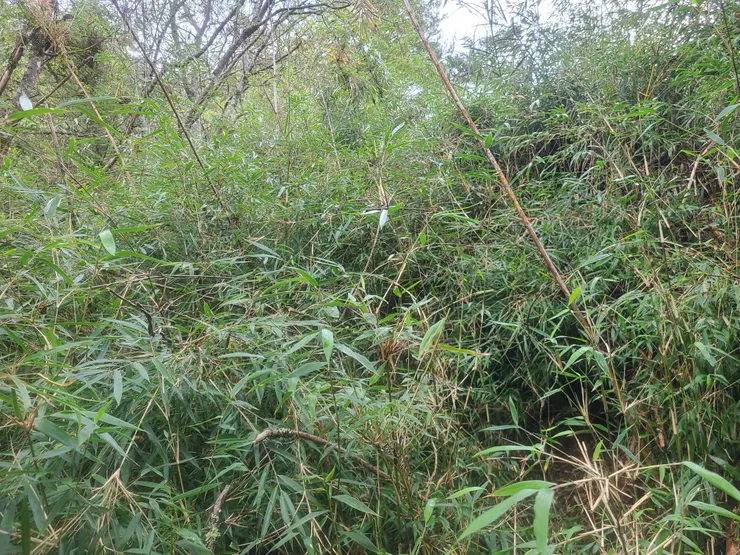 鑽到有點受不了了，沒路