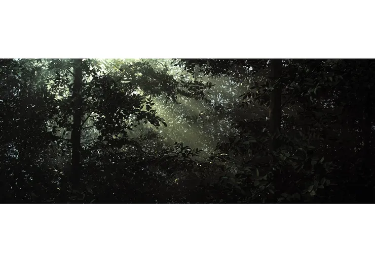 《森中空地》（來源：臺北市立美術館）