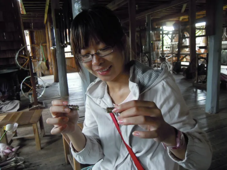 臉上塗香木粉的臺灣觀光客我本人在玩藕斷絲連