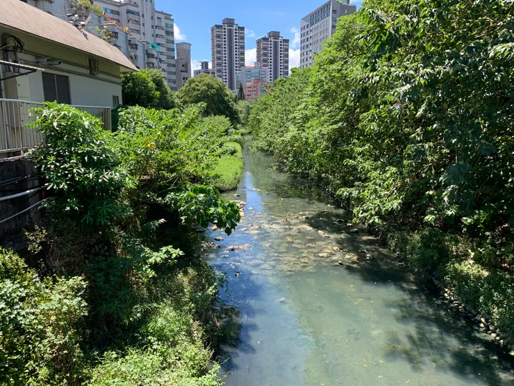 經過大水溝……那股「氣味」難以形容。