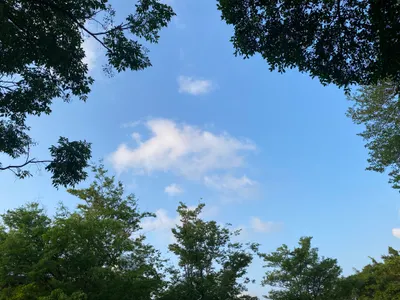 ☁️ 森之市的午後仰望：那一抹輕盈的香草奶泡