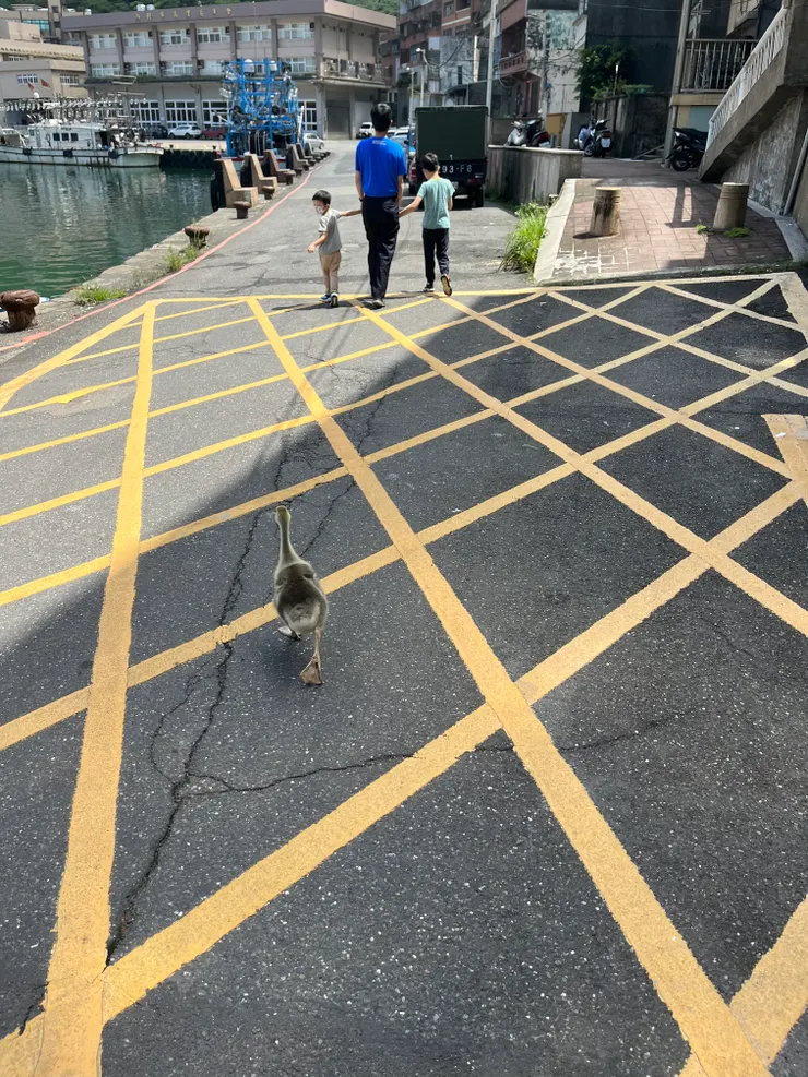 哈哈哈哈哈哈哈😂😂😂