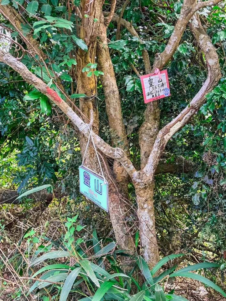 12:56 抵逹靈山。 （到靈山後回頭由福德祠下山便完成旗靈縱走）由於時間還早，考量了時間，體力，食物，水，和手機電力臨時決定加碼走到月光山