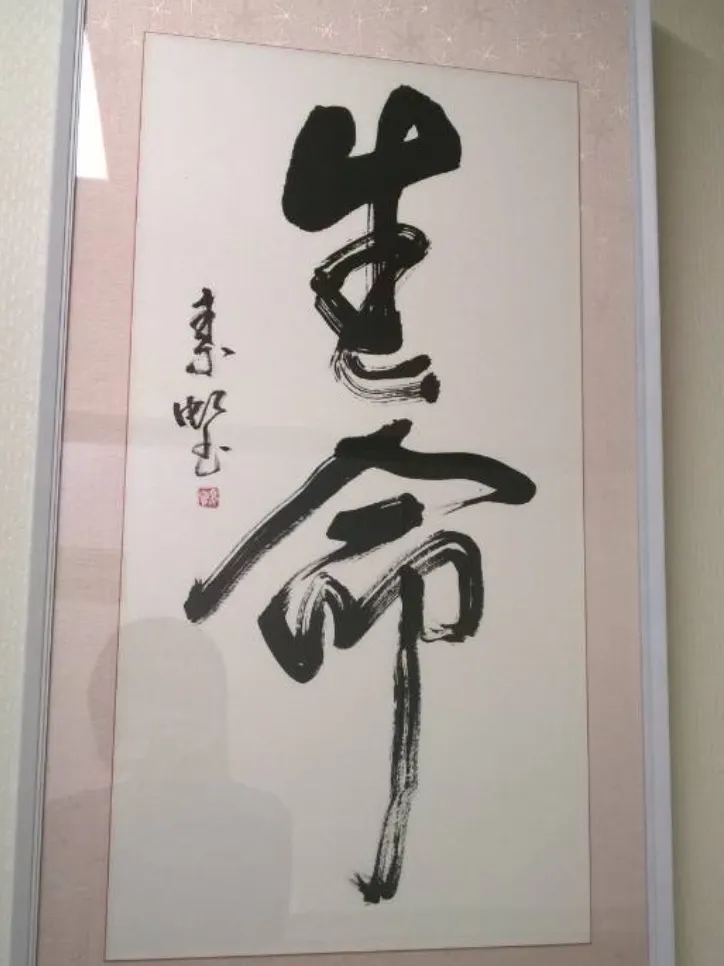 醫院走廊牆上的書法