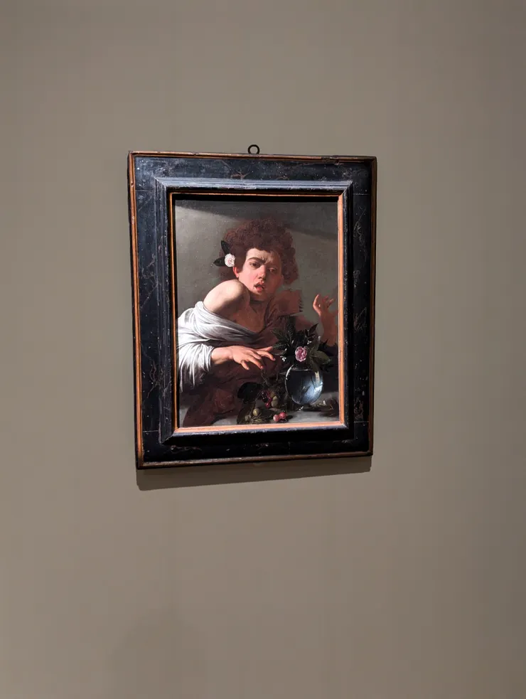 《被蜥蜴咬傷的男孩》/卡拉瓦喬