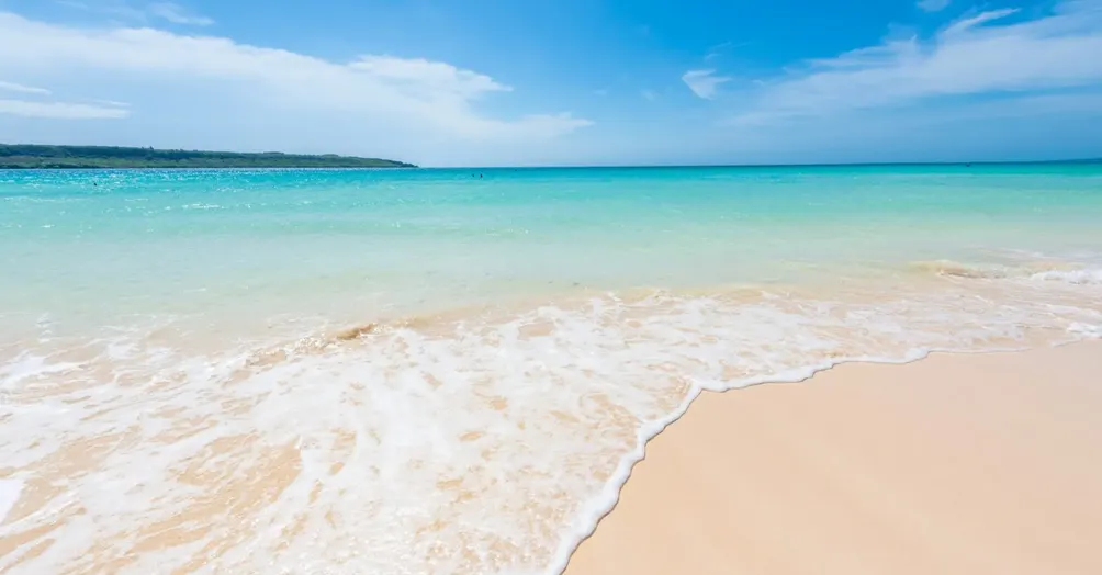 許韡礪 諮商心理師 的沙龍