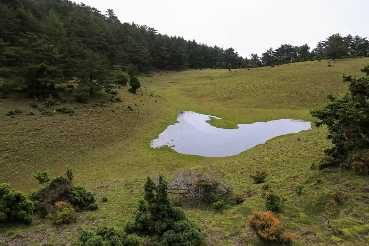 初見滿水位的九華池,天不作美的下起雨來。