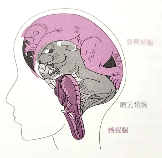 翻攝於本書第131頁