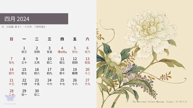 十二月花神．芍藥紫藤