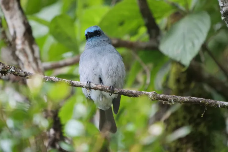 那黑色是肚臍嗎?