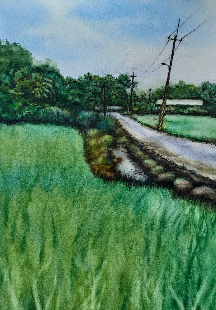 鄉野綠田，八開，代針筆+水彩。