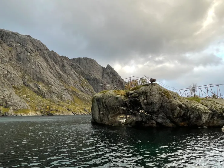 這裡的海鷗很吵鬧，一直在吱吱喳喳
