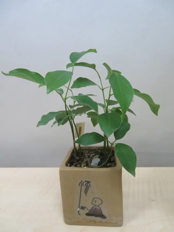 新莊農會112.11.27