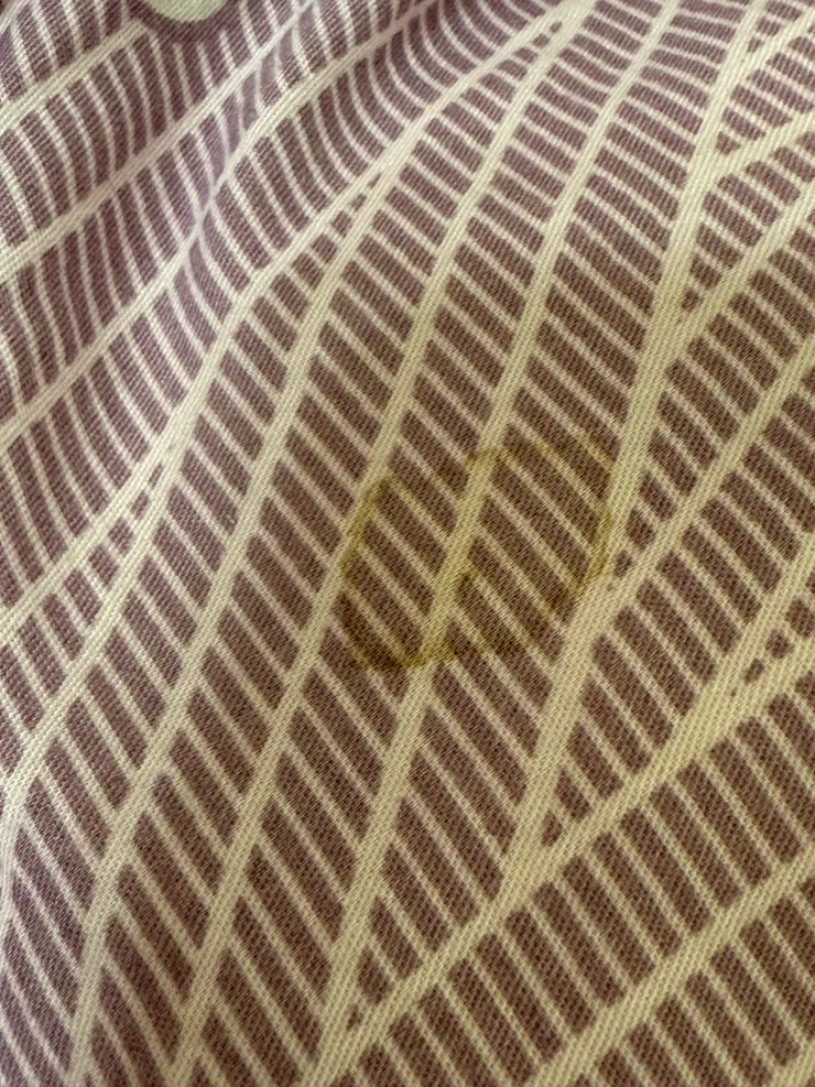 2025/12/25 睡午覺的時候看到圓圓臭屁股痕跡