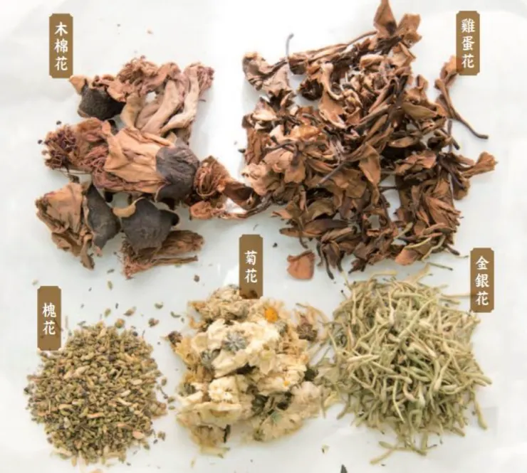 圖片來源：消費者委員會官網