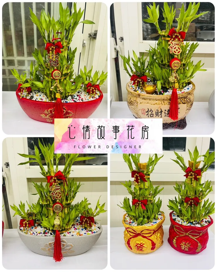心情故事花房 盆栽 開運竹 花藝商品 綠植擺設 居家佈置 商務送禮 開業賀禮 搬遷禮品 精緻盆栽 桌面綠植 開運好物 幸運象徵 花藝設計 綠意生活 禮品推薦 多樣品項 預算靈活 客製化服務 綠植專家