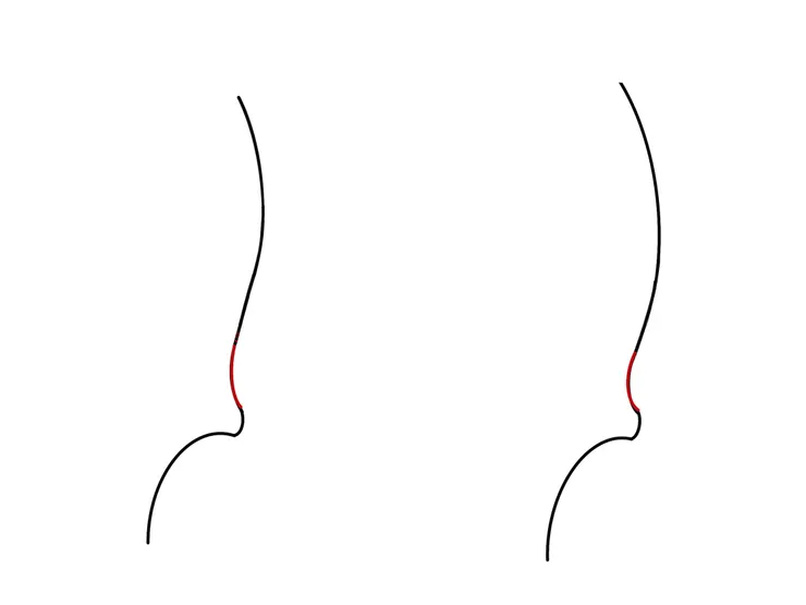 這張圖聚焦於提琴上圓琴角的連接方式，右側的圖相比左側明顯更為凹陷，曲率更小。