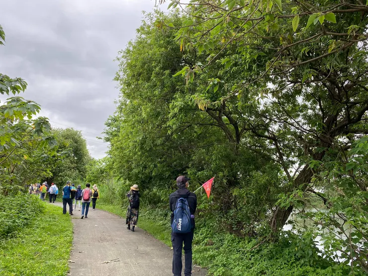 姿態萬千的水柳