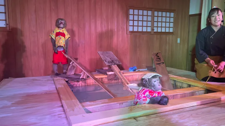 整場演出只有最後能拍照。