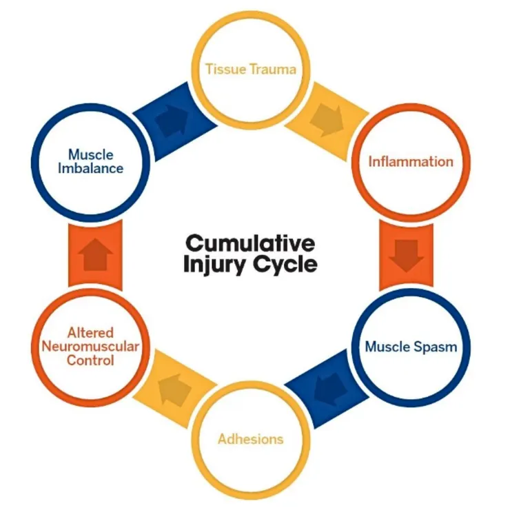 圖片來源:NASM-CES