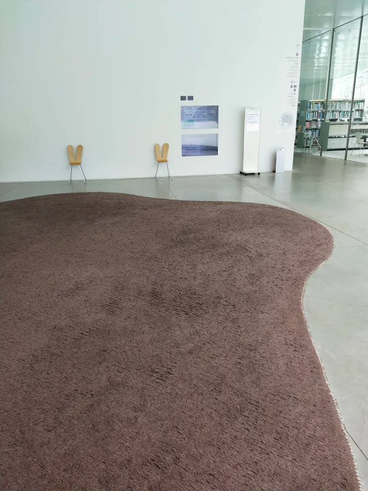 運用特殊造型的地毯