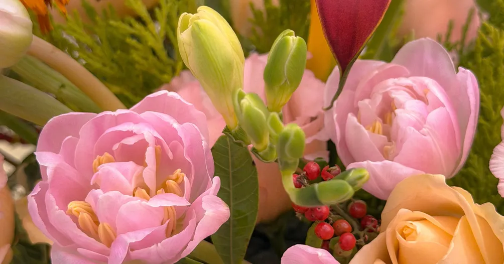 Nina.陽光樹梢🌿的沙龍