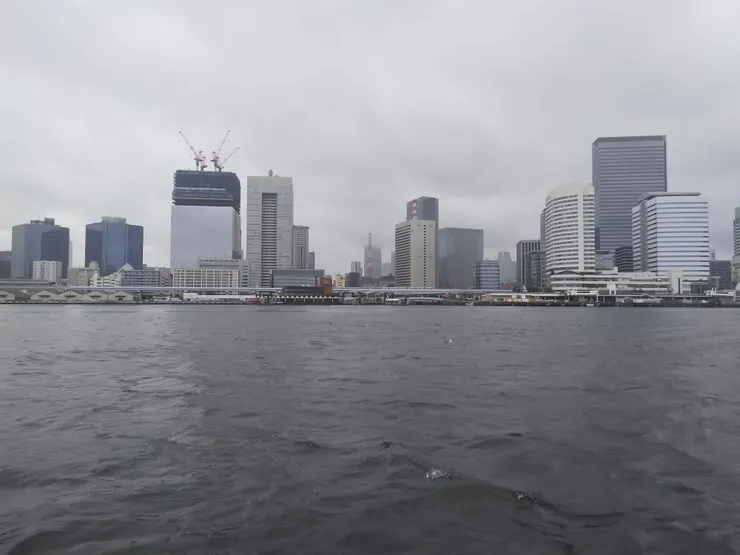 霧中的東京鐵塔