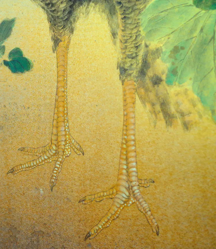 〈夏日閑庭〉局部－七面鳥