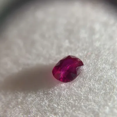 小利投資的沙龍