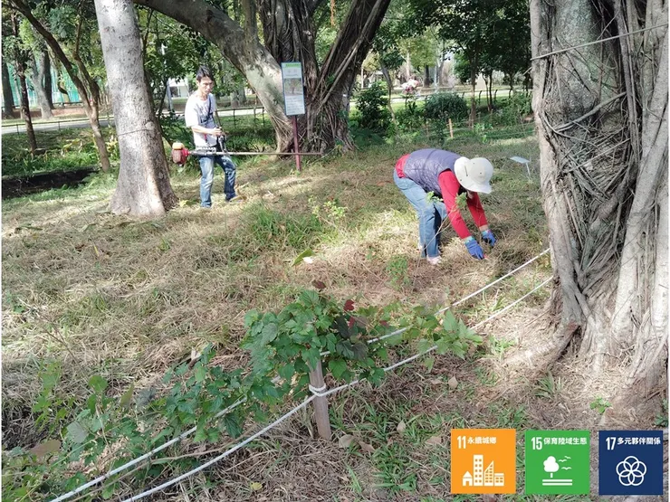在A區內彎腰做細部維整