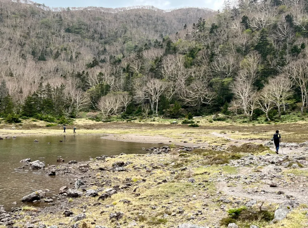 旅人行旅 || trail2trail