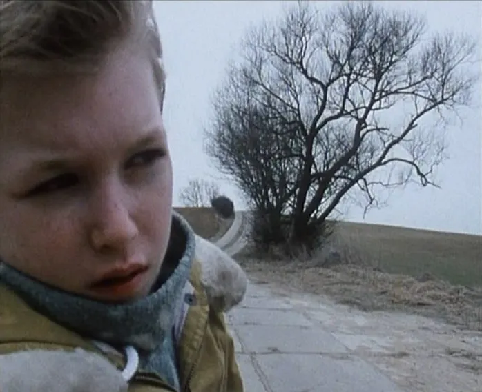 59.《霜》（Frost，1997）🇩🇪 dir. Fred Kelemen