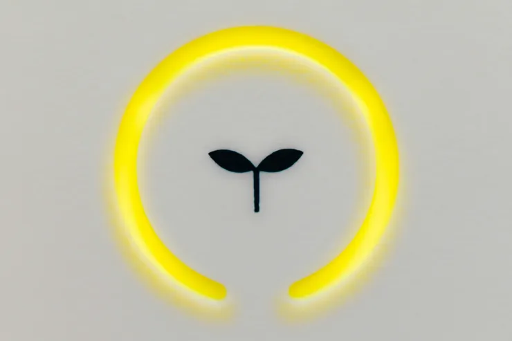 圖片取自Unsplash